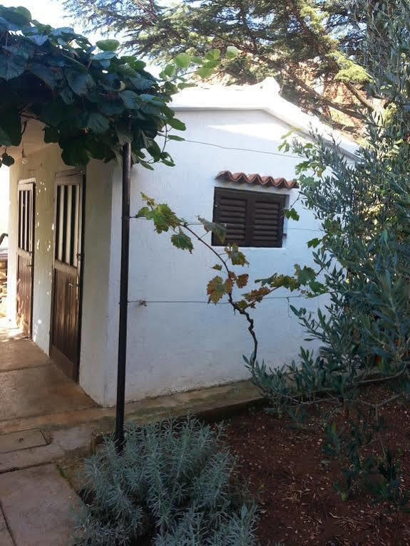 Apartments Martina Bibinje Εξωτερικό φωτογραφία
